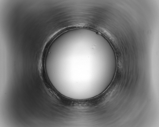 X0000096960532200802221344