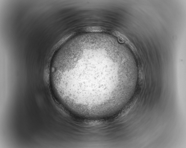 X0000096960533200802221344