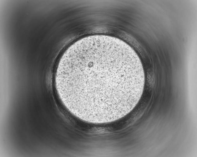 X0000096960534200802221344