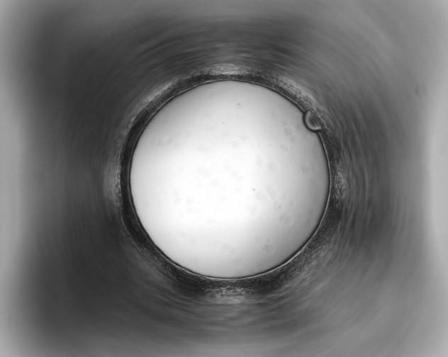 X0000096960535200802221344