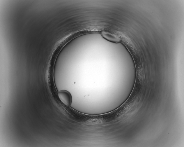 X0000096960536200802221344