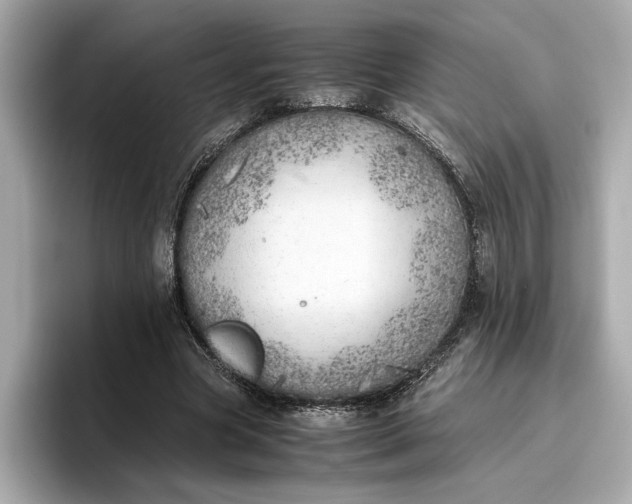 X0000096960537200802221344