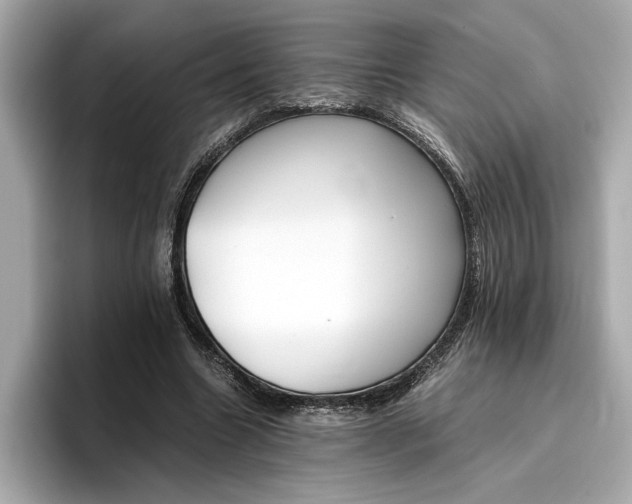 X0000096960538200802221344