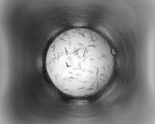 X0000096960539200802221344