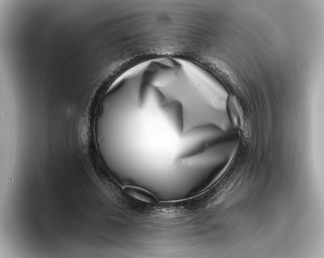 X0000096960540200802221344