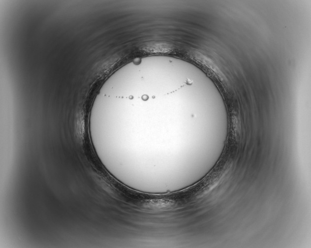 X0000096960541200802221344