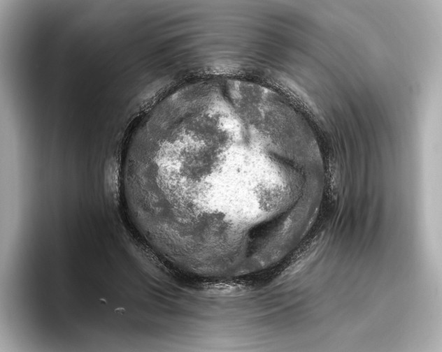 X0000096960542200802221344