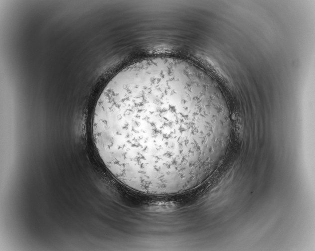 X0000096960543200802221344