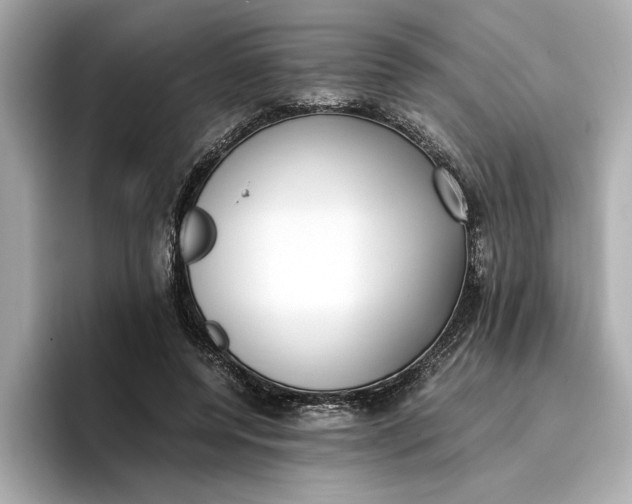 X0000096960544200802221344