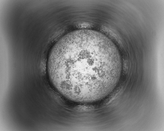 X0000096960545200802221344