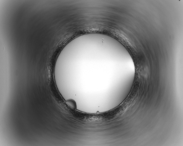 X0000096960546200802221344