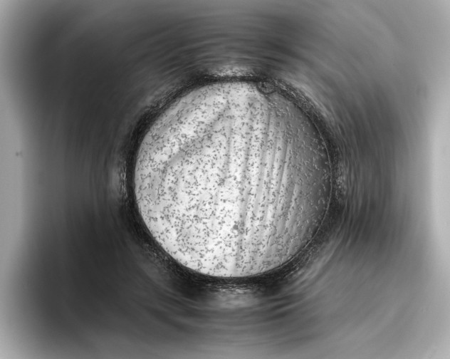 X0000096960547200802221344