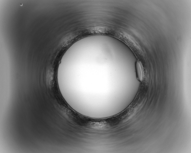 X0000096960548200802221344