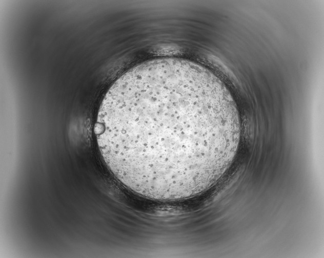 X0000096960549200802221344