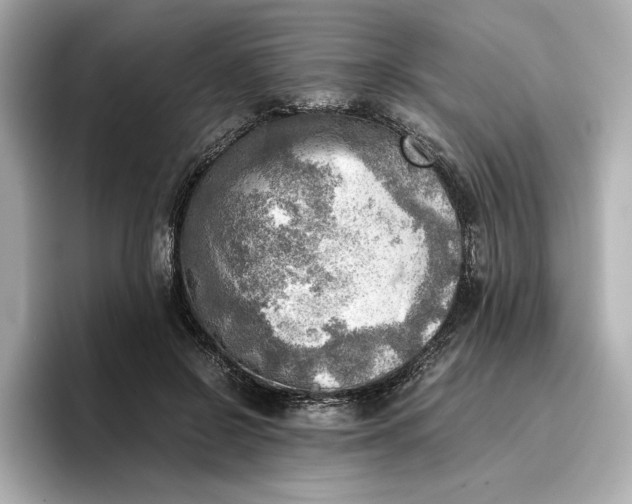 X0000096960550200802221344