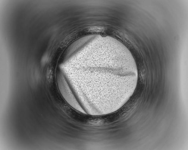 X0000096960551200802221344