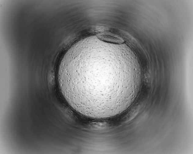 X0000096960552200802221344