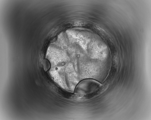 X0000096960554200802221344