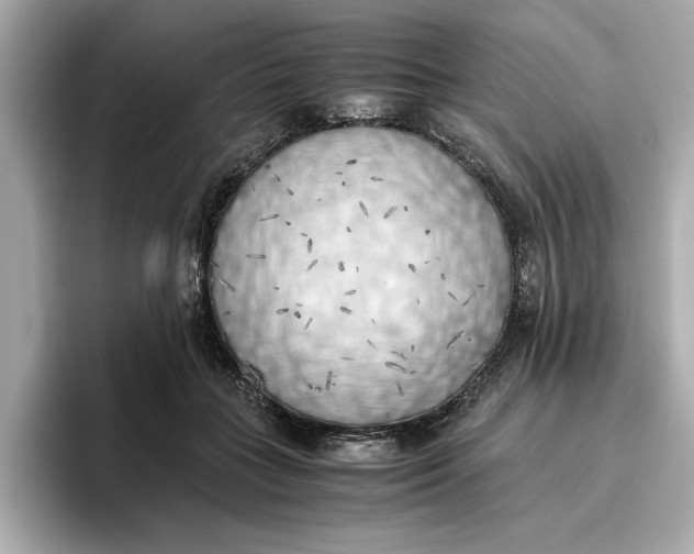 X0000096960555200802221344