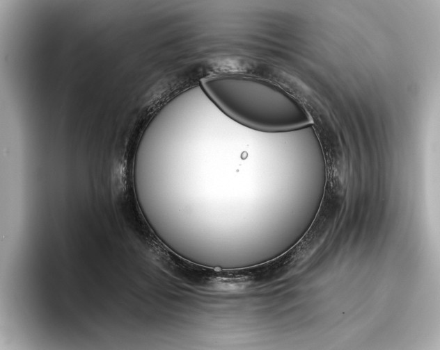 X0000096960556200802221344