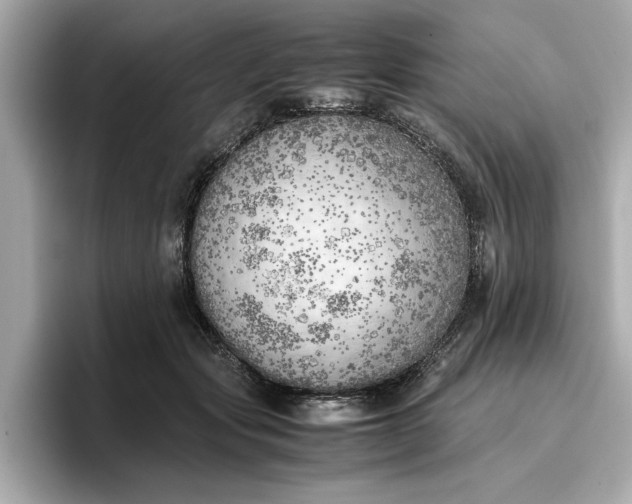 X0000096960557200802221344