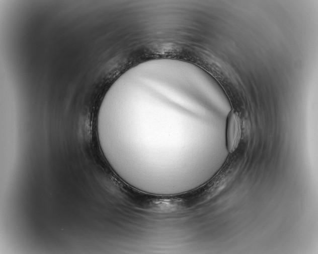 X0000096960558200802221344