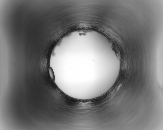 X0000096960560200802221344