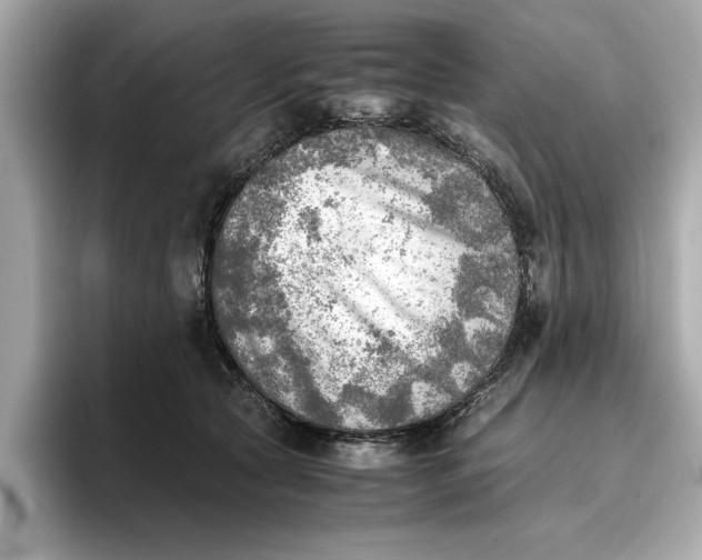 X0000096960561200802221344