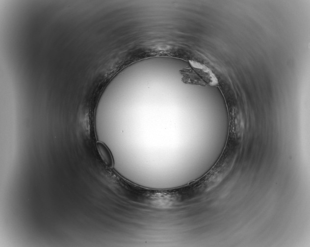 X0000096960562200802221344