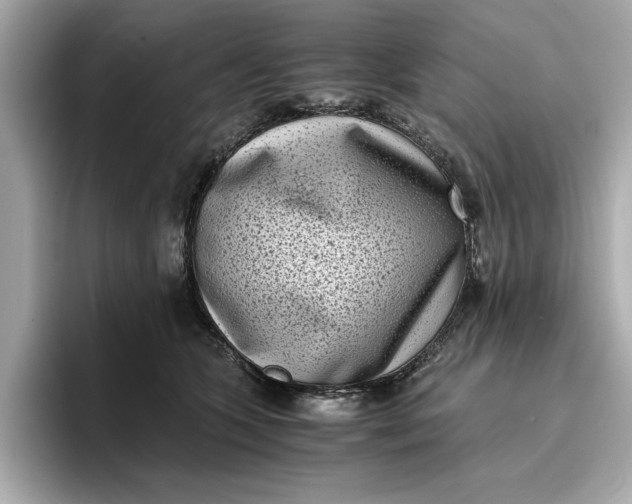 X0000096960563200802221344