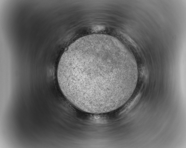 X0000096960565200802221344