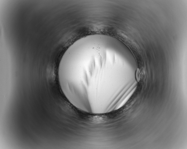 X0000096960566200802221344