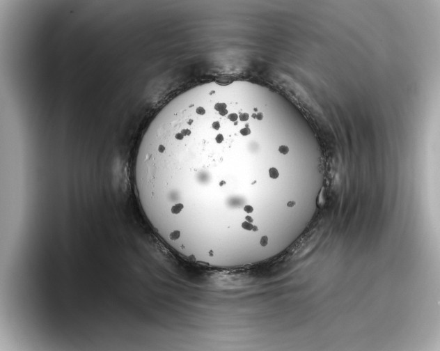 X0000096960568200802221344