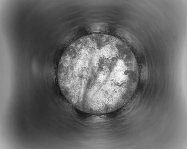 X0000096960569200802221344