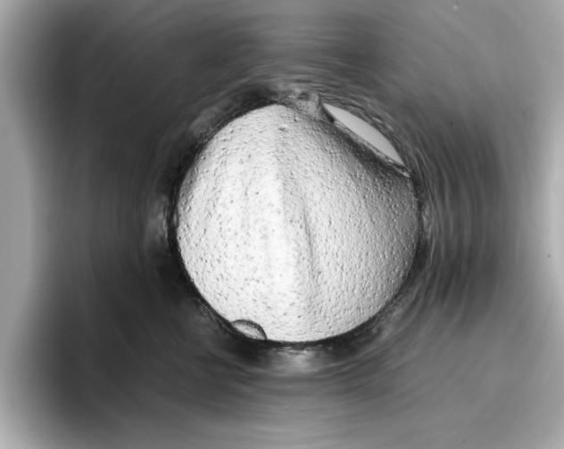 X0000096960570200802221344