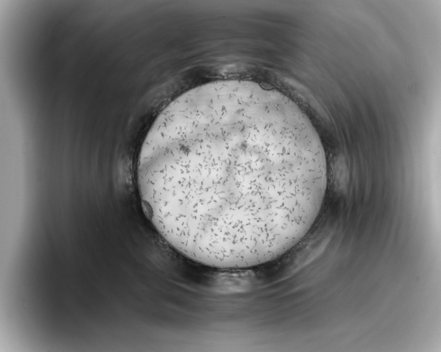 X0000096960571200802221344