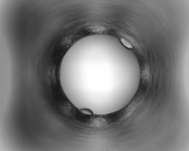 X0000096960572200802221344