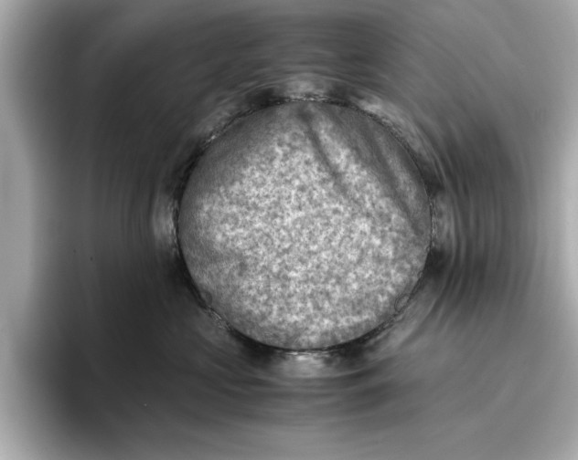 X0000096960573200802221344