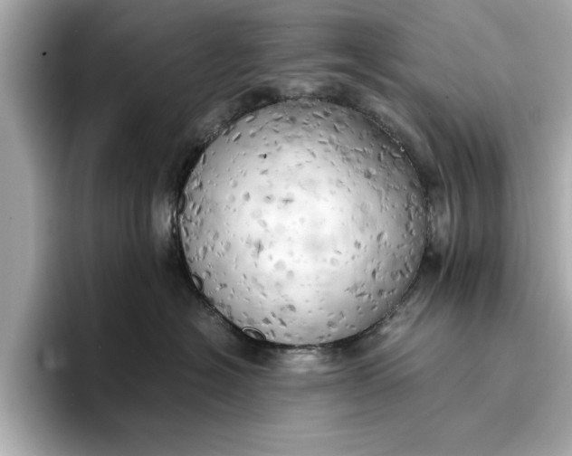 X0000096960574200802221344