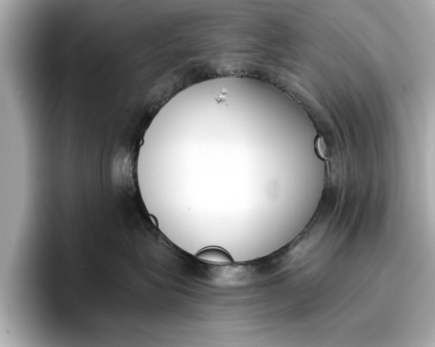 X0000096960575200802221344