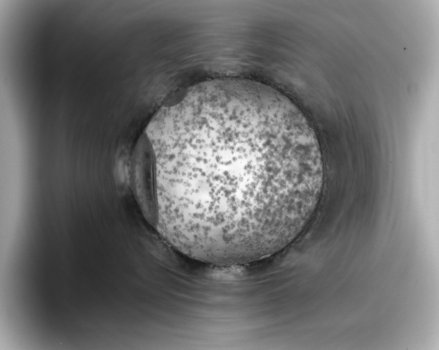 X0000096960576200802221344