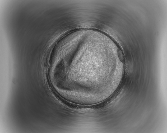 X0000096960577200802221344