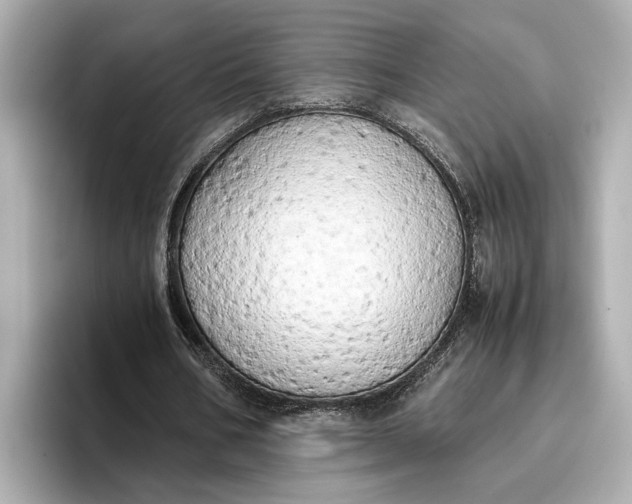 X0000096960578200802221344