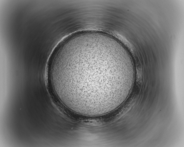 X0000096960580200802221344