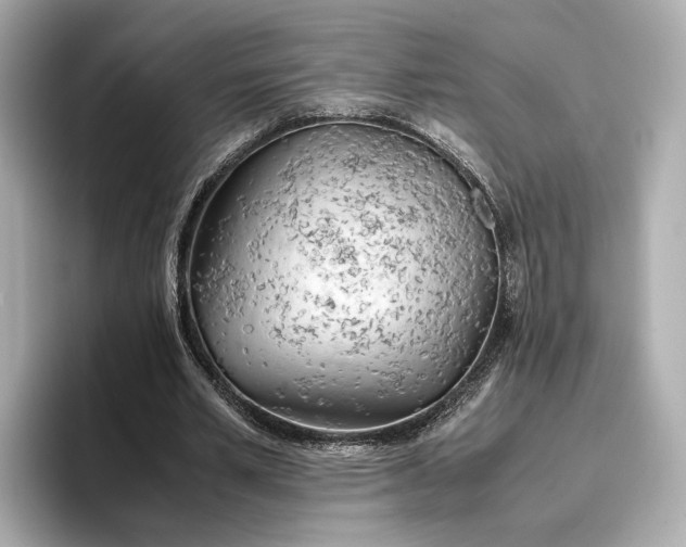 X0000096960581200802221344