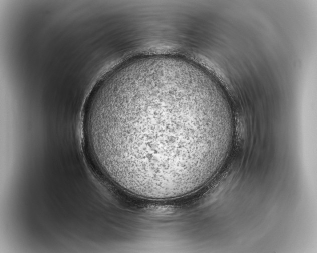 X0000096960582200802221344