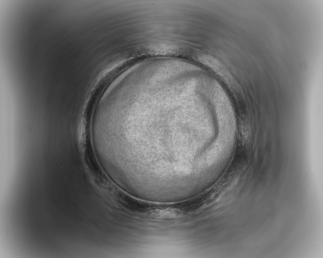 X0000096960583200802221344