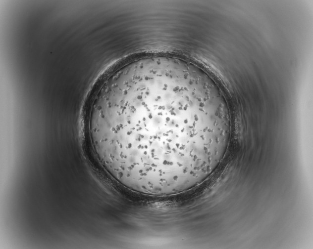 X0000096960584200802221344