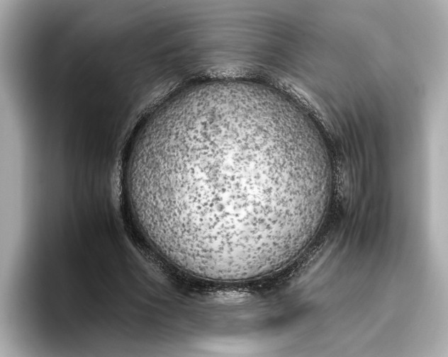 X0000096960586200802221344