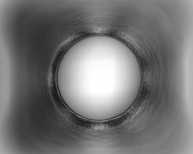 X0000096960587200802221344